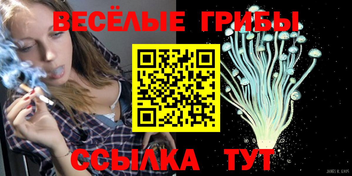 Псилоцибиновые грибы Psilocybe  Вход с VPN  Псилоцибиновые грибы Magic Shrooms  Вязники 